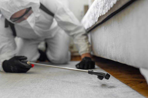 Professional Termite Control technician working in Longview, TX