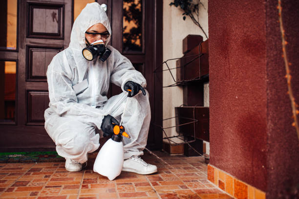 Reliable Termite Control contractor in Longview, TX by Nex Pest Control